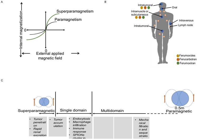 Nanotheranostics Image