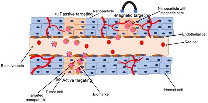 Nanotheranostics Image