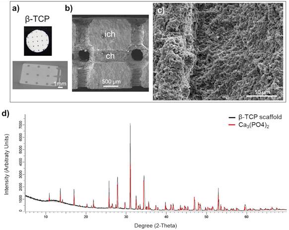 Nanotheranostics Image