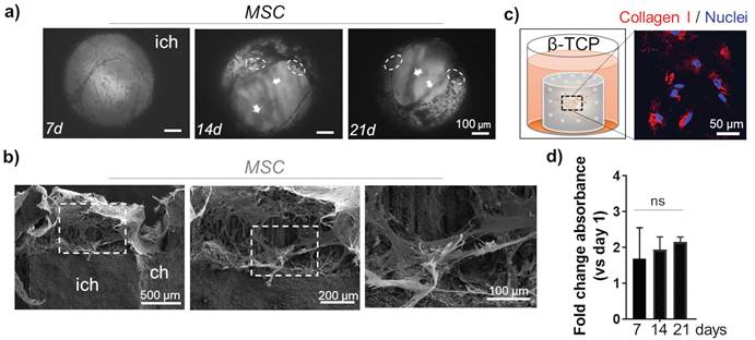 Nanotheranostics Image