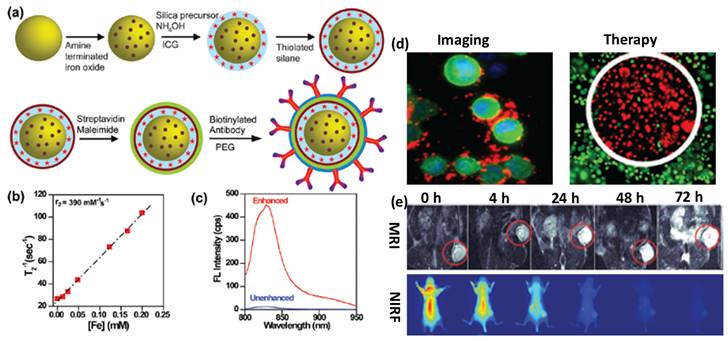 Nanotheranostics Image