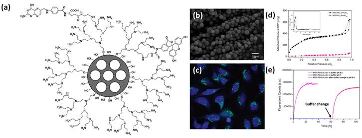 Nanotheranostics Image