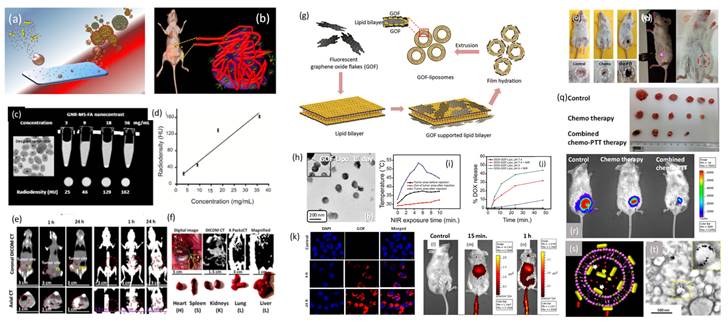 Nanotheranostics Image