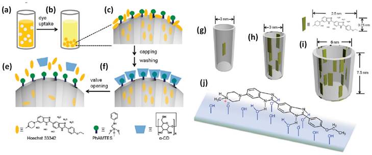 Nanotheranostics Image