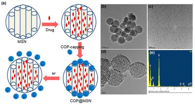 Nanotheranostics Image