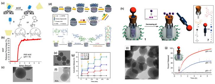 Nanotheranostics Image