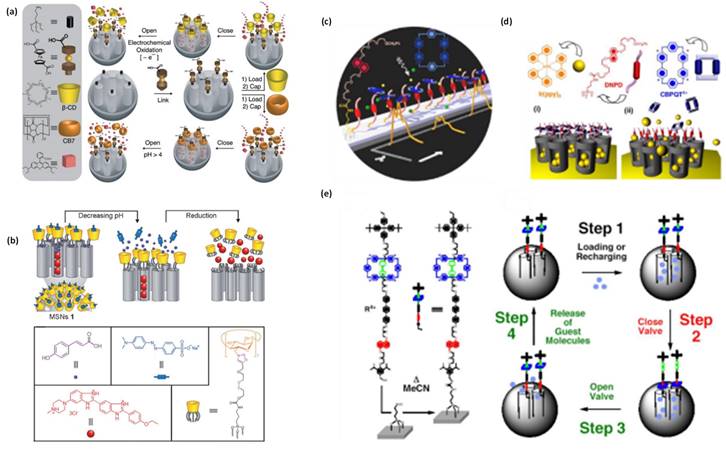 Nanotheranostics Image