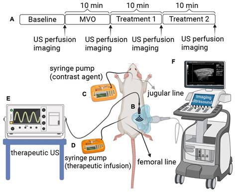 Nanotheranostics Image