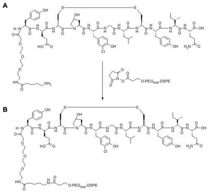 Nanotheranostics Image