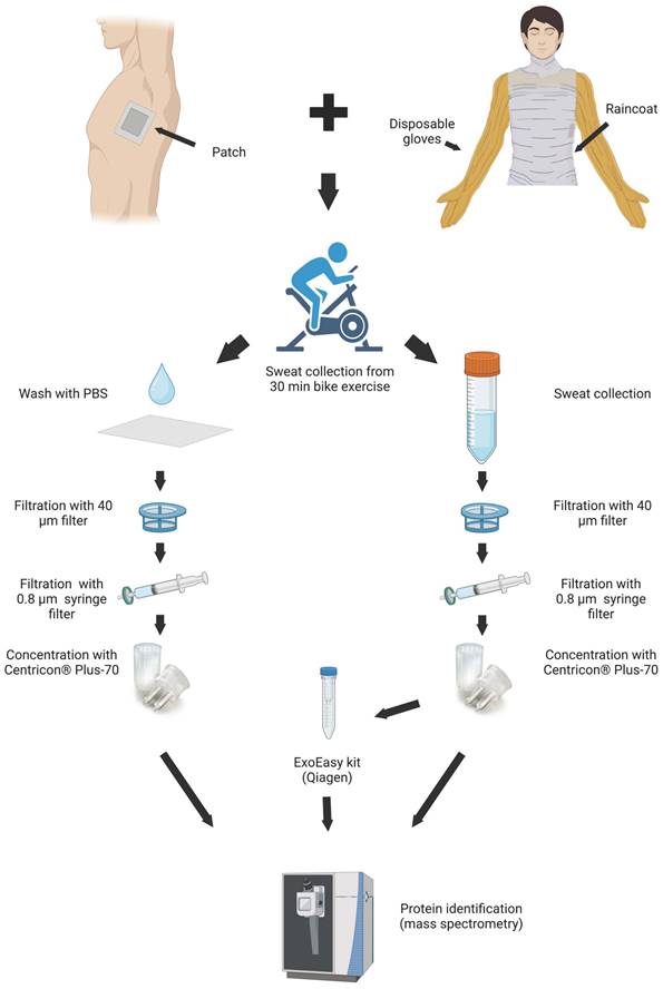 Nanotheranostics Image