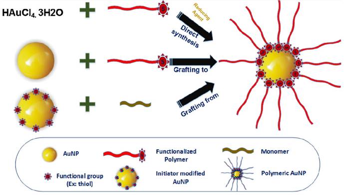 Nanotheranostics Image