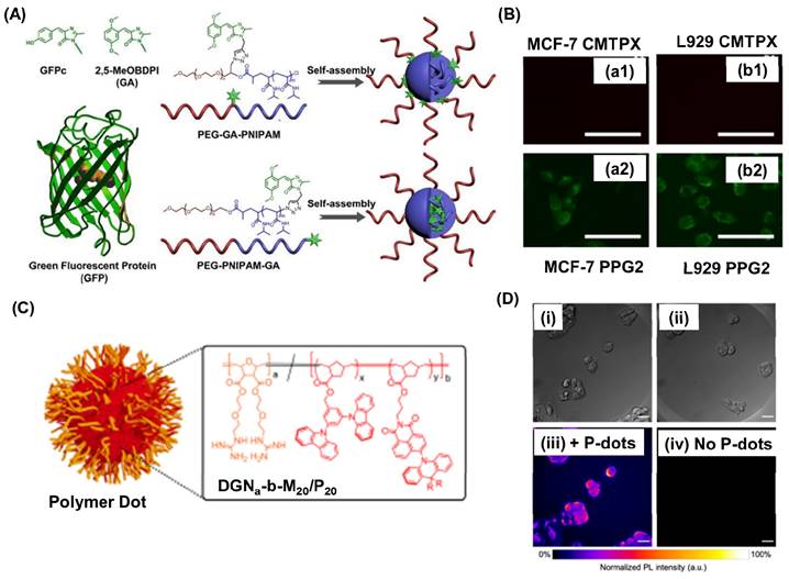 Nanotheranostics Image