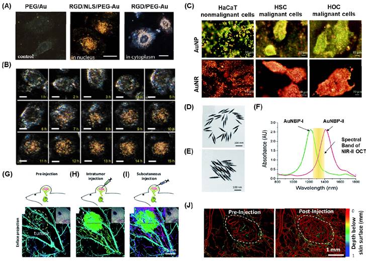 Nanotheranostics Image