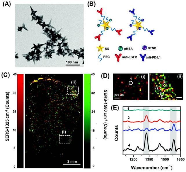 Nanotheranostics Image