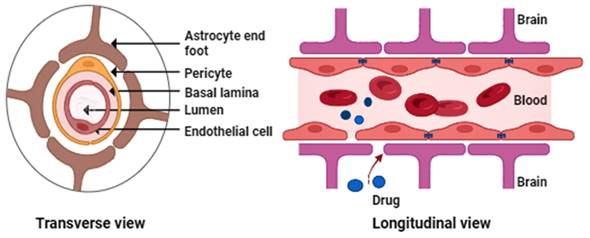 Nanotheranostics Image