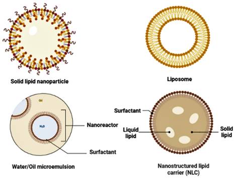 Nanotheranostics Image