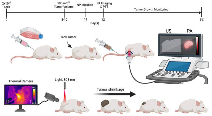 Nanotheranostics Image