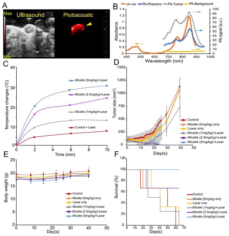 Nanotheranostics Image