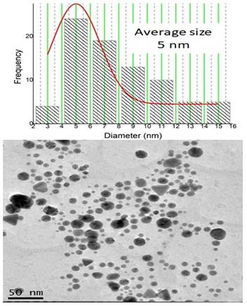 Nanotheranostics Image