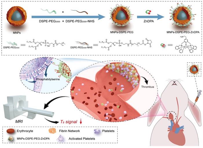 Nanotheranostics Image