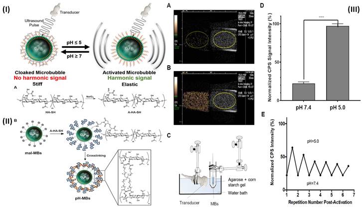 Nanotheranostics Image