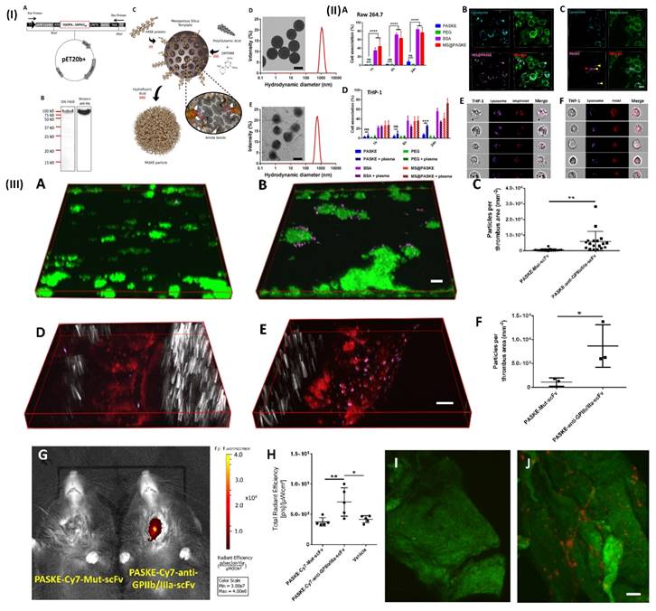 Nanotheranostics Image