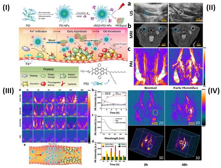 Nanotheranostics Image