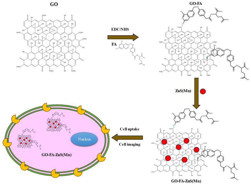 Nanotheranostics Image