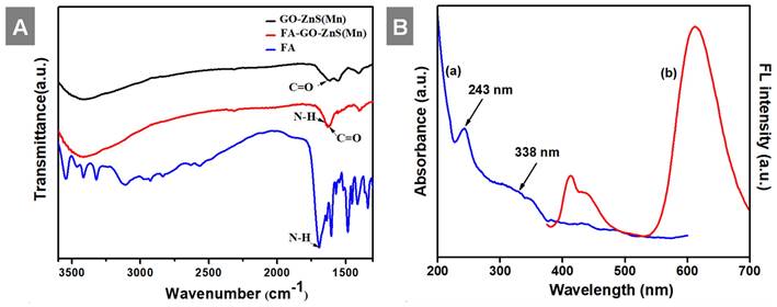 Nanotheranostics Image