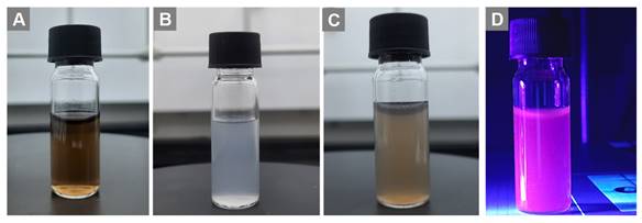 Nanotheranostics Image