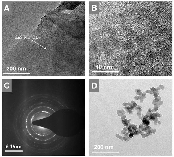 Nanotheranostics Image