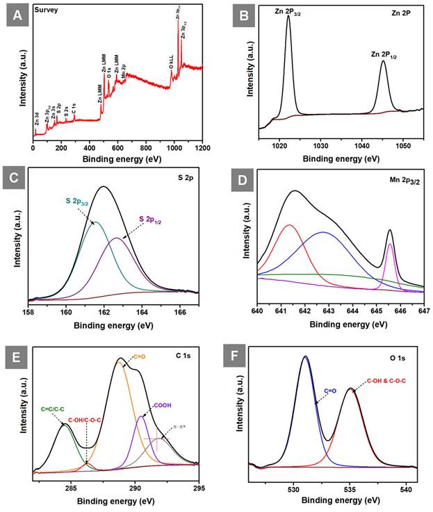 Nanotheranostics Image