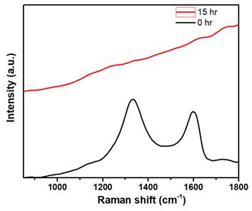 Nanotheranostics Image