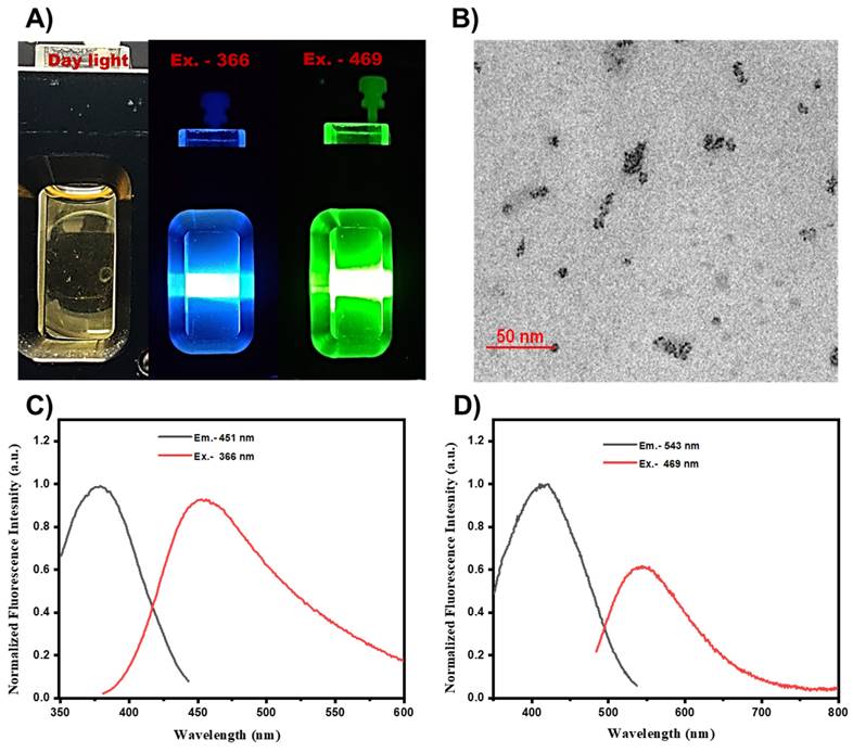 Nanotheranostics Image