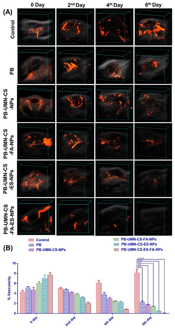 Nanotheranostics Image