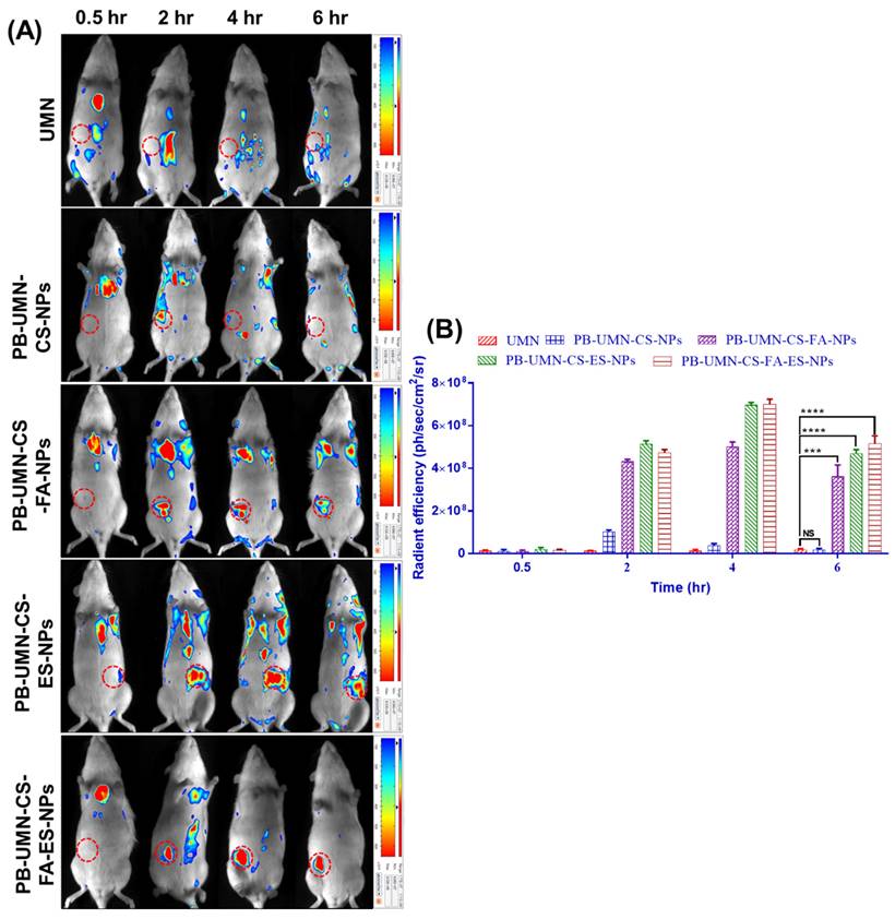 Nanotheranostics Image