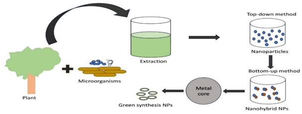 Nanotheranostics Image