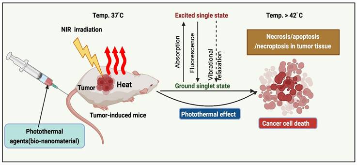 Nanotheranostics Image