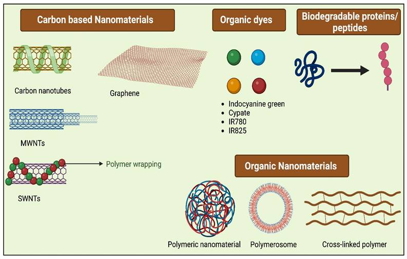 Nanotheranostics Image