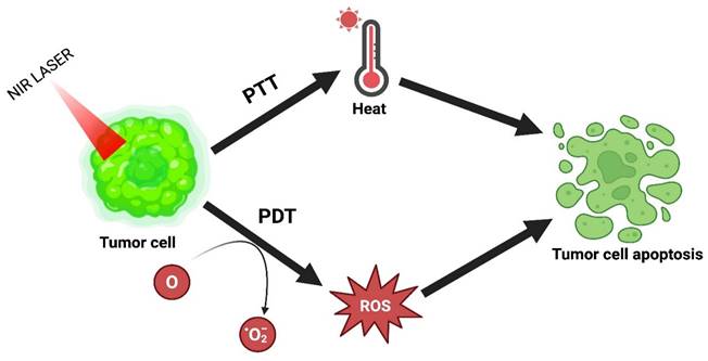 Nanotheranostics Image