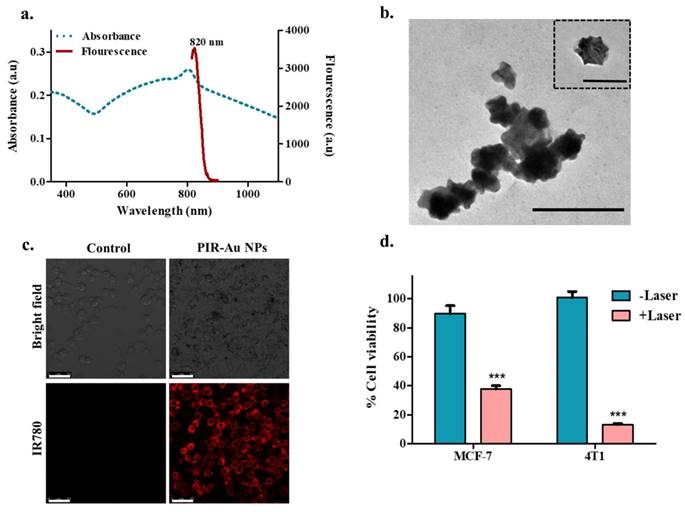 Nanotheranostics Image