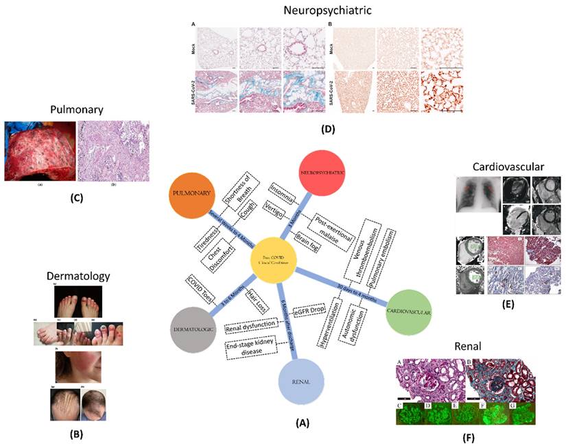 Nanotheranostics Image