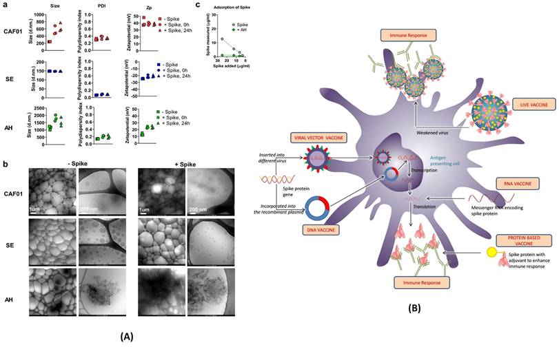 Nanotheranostics Image