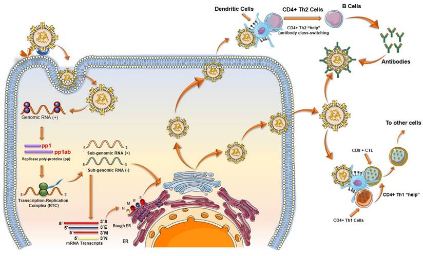 Nanotheranostics Image