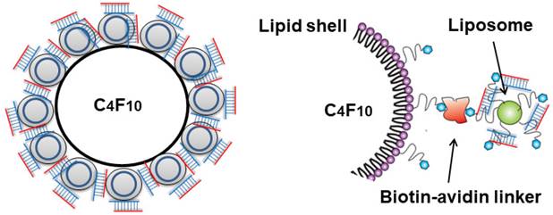 Nanotheranostics Image