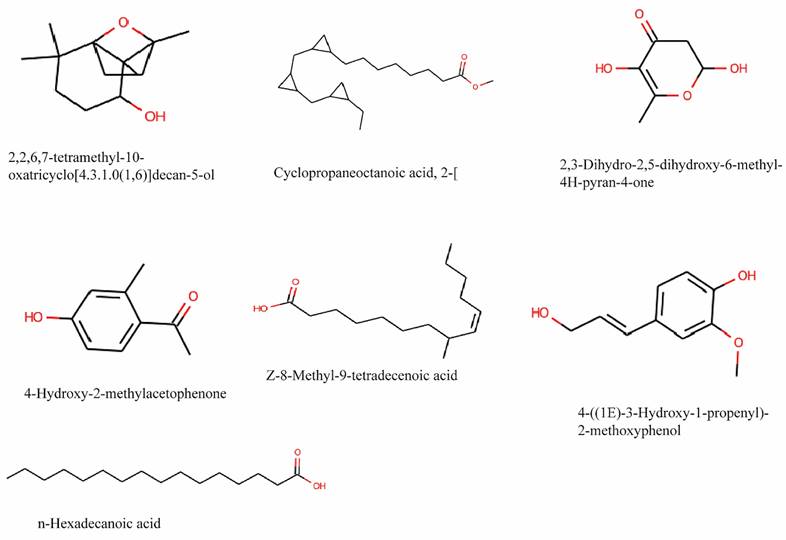 Nanotheranostics Image