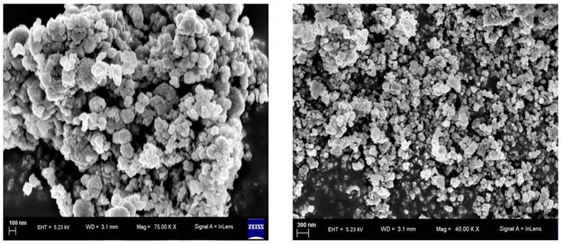 Nanotheranostics Image