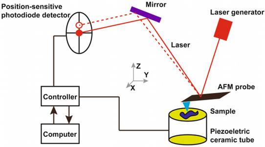 Nanotheranostics Image