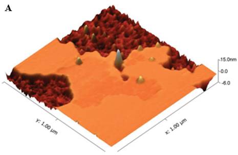 Nanotheranostics Image