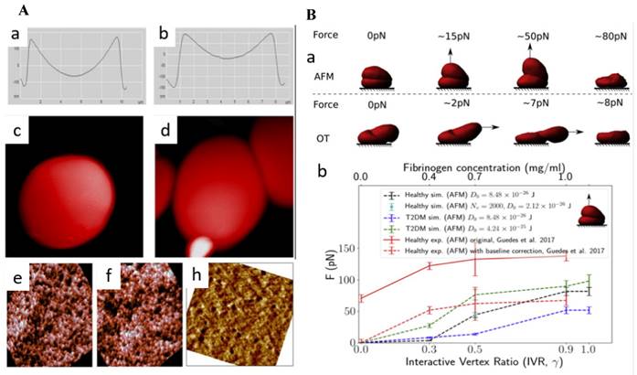 Nanotheranostics Image